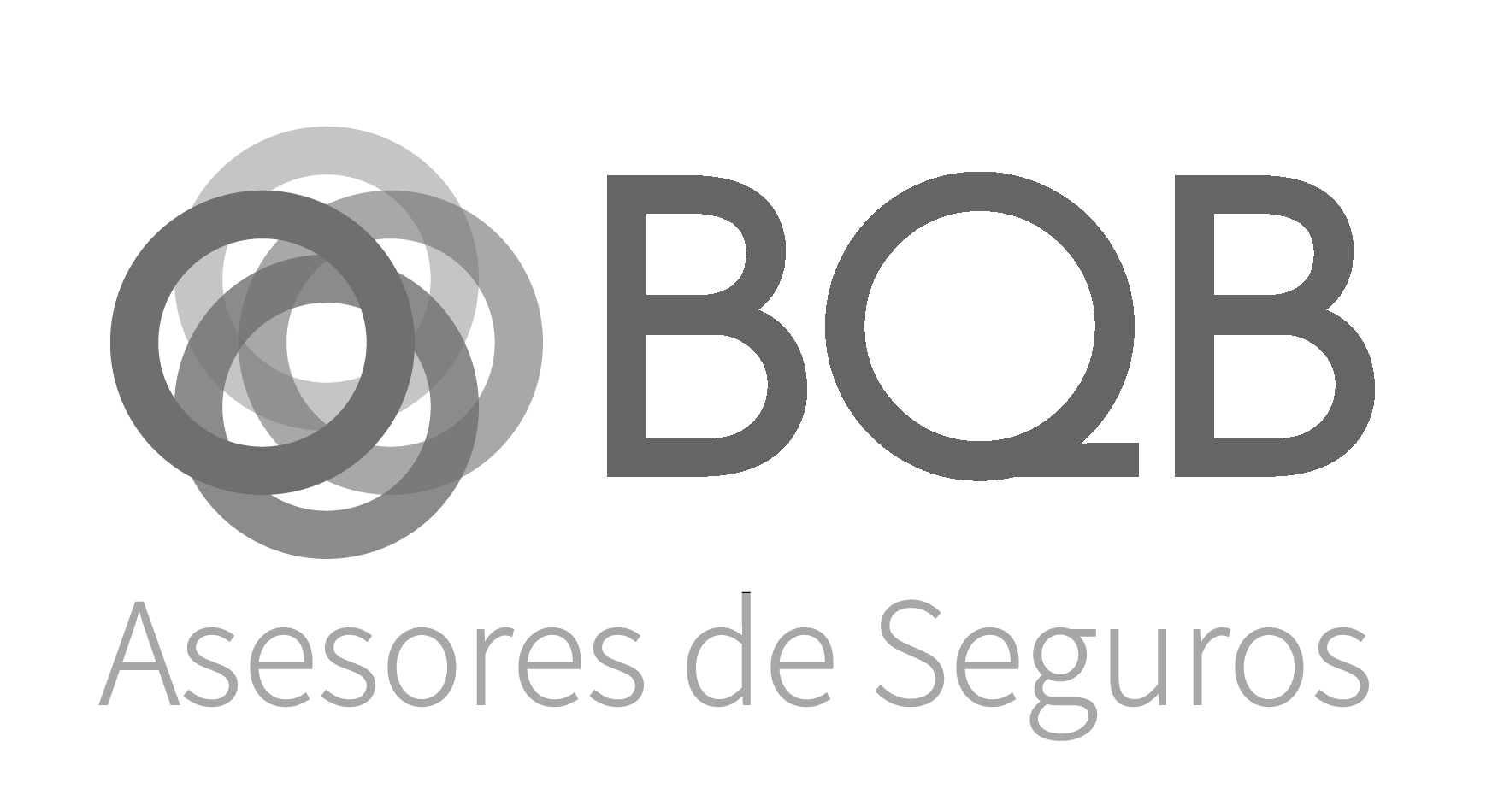 Socio principal